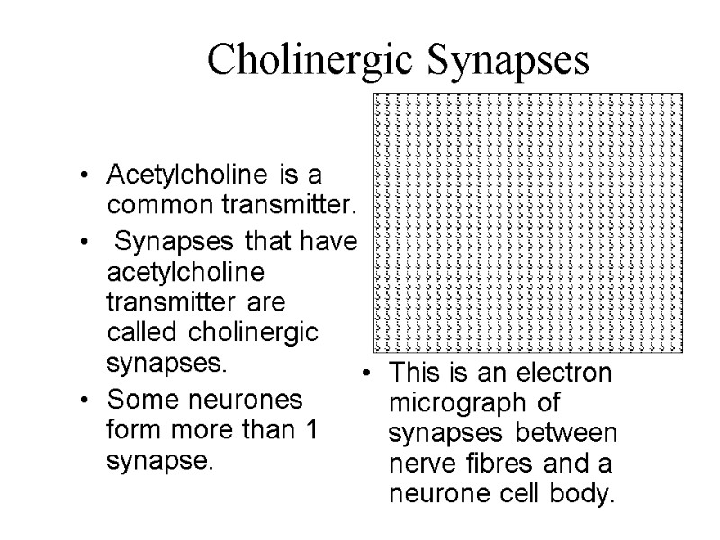 Cholinergic Synapses Acetylcholine is a common transmitter.   Synapses that have acetylcholine transmitter